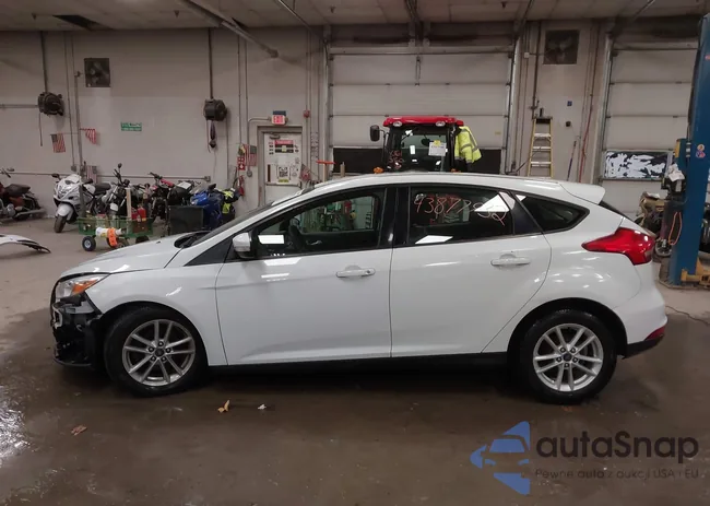 1FADP3K2XHL290938: 43877932