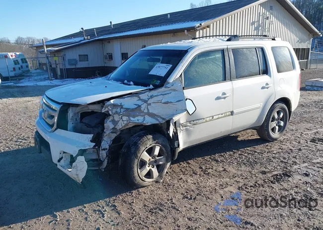 5FNYF3H46BB056653: 43877751