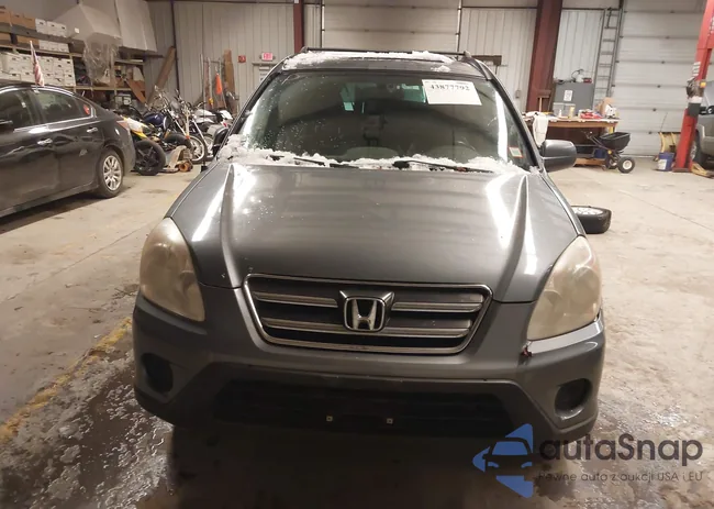 SHSRD78996U443175: 43877792