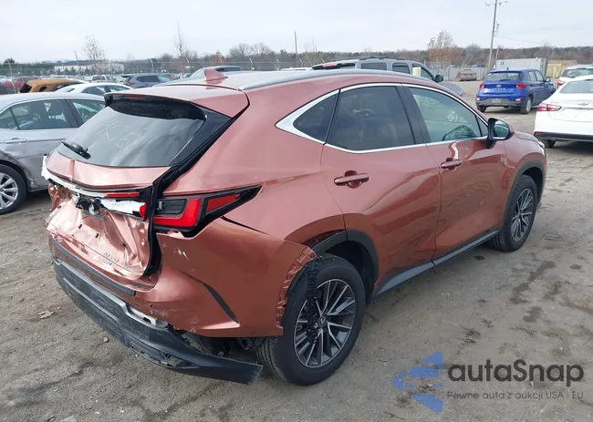 2T2GGCEZXSC065803: 43879236