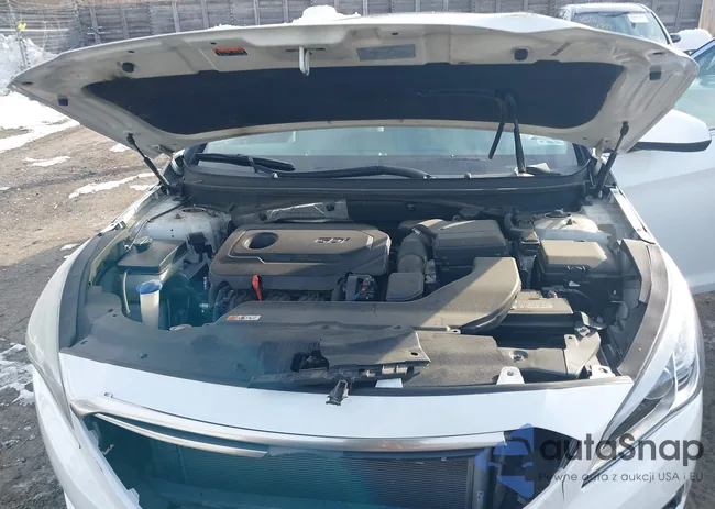 5NPE24AF5GH342437: 43880189