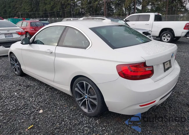 WBA1F9C52FVW98585: 43880264