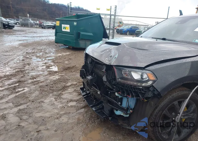 1C4SDJCT9KC625216: 43880296