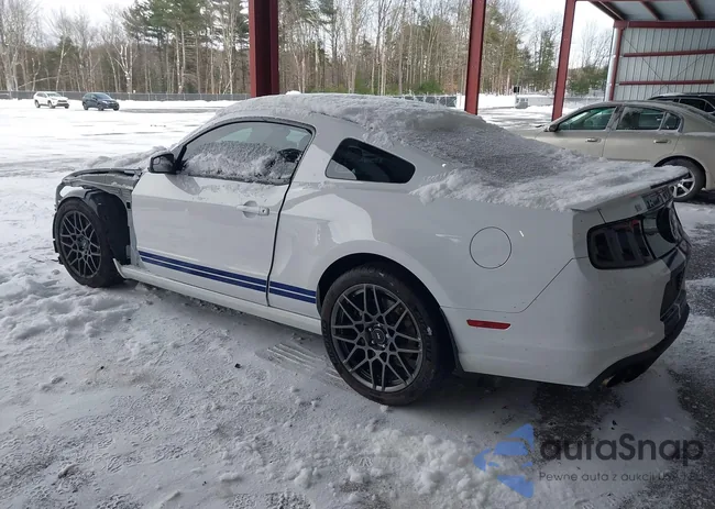 1ZVBP8JZ9E5260646: 43881425