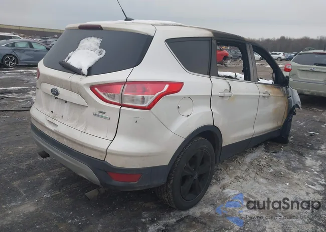 1FMCU0GX4FUC02566: 43881943