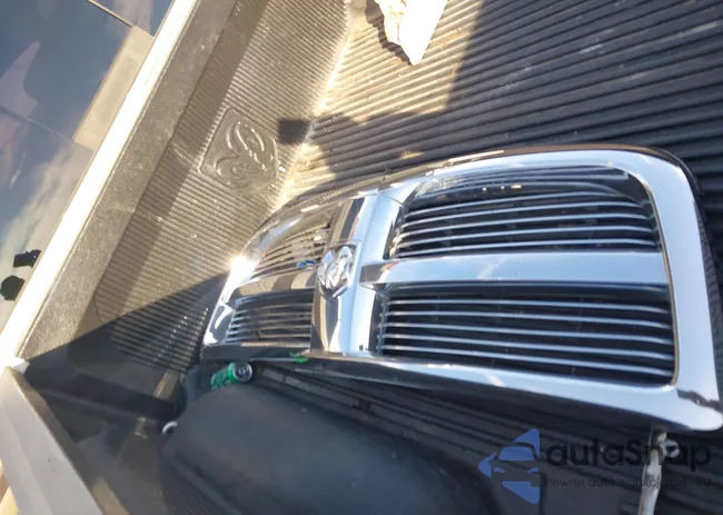 1D7RB1CT3AS226462: 43882137