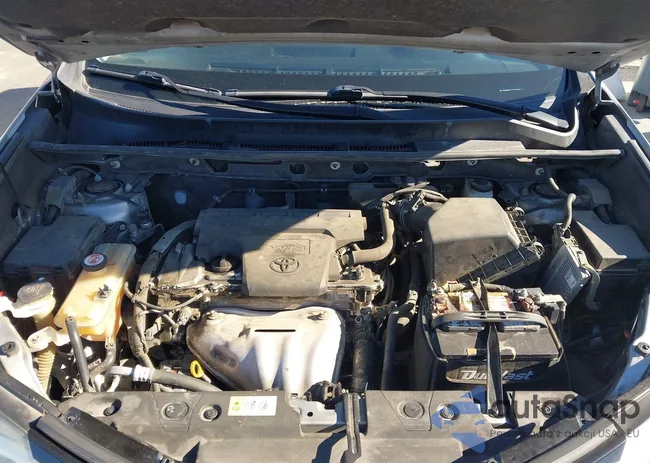 JTMWFREV1JD113094: 43882166