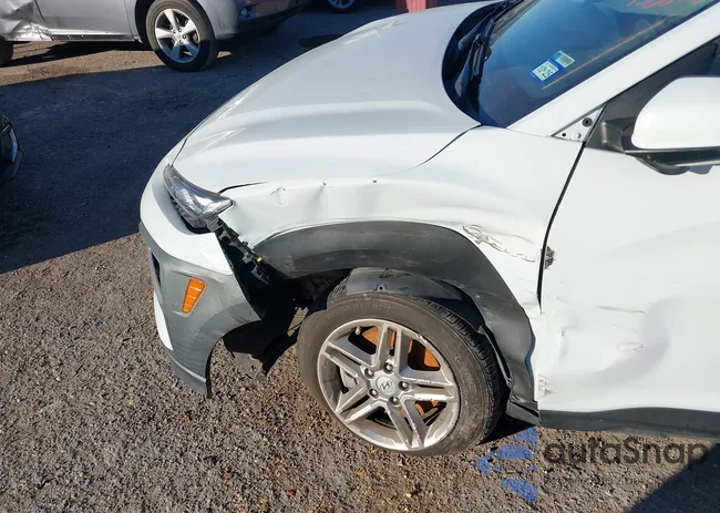 KM8K1CAA8MU691335: 43881802