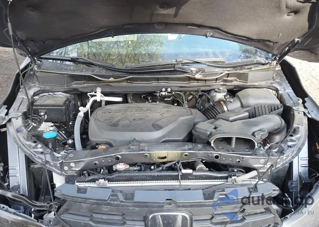 5FNRL6H66SB025855: 43883950