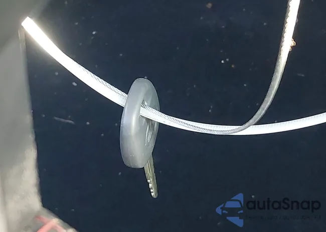 JF1ZNAA13D1729119: 43884362