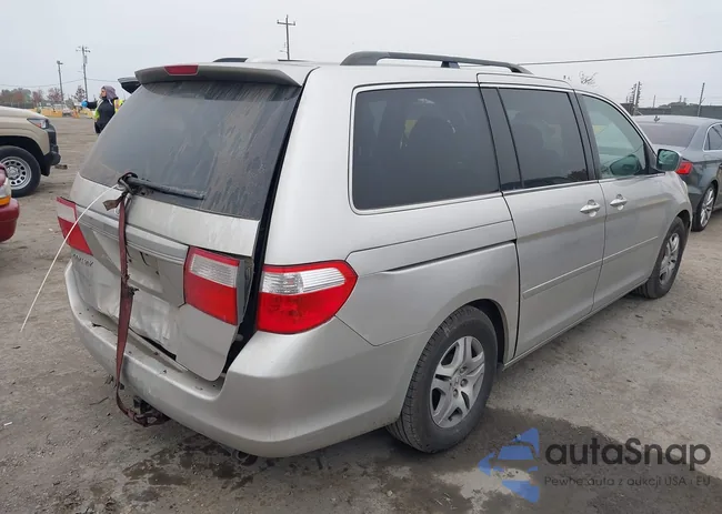 5FNRL387X7B129229: 43883568