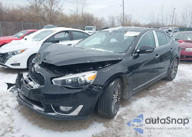 KNALN4D77F5176808: 43885096