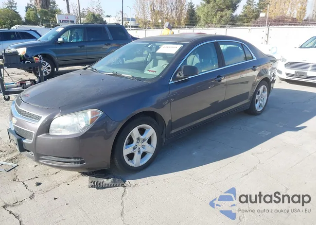 1G1ZB5EBXAF314562: 43884808