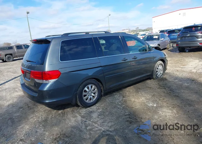 5FNRL38618B088689: 43885961