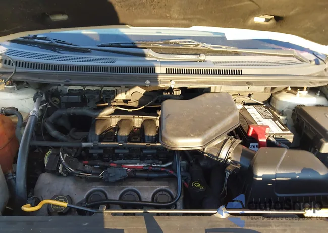 2FMDK39C77BA80010: 43886113