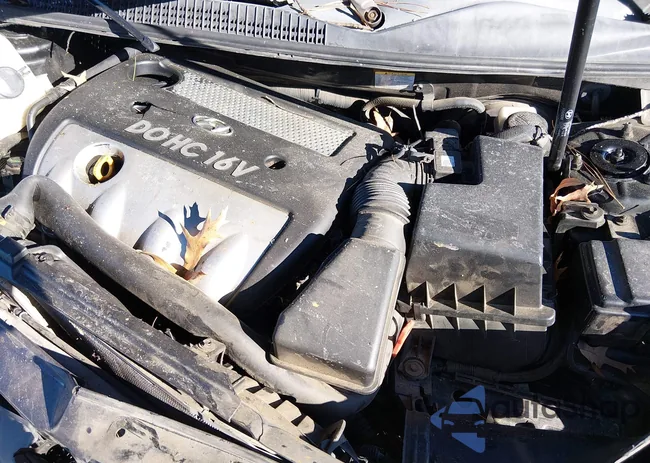 5NPET46C28H319663: 43886230