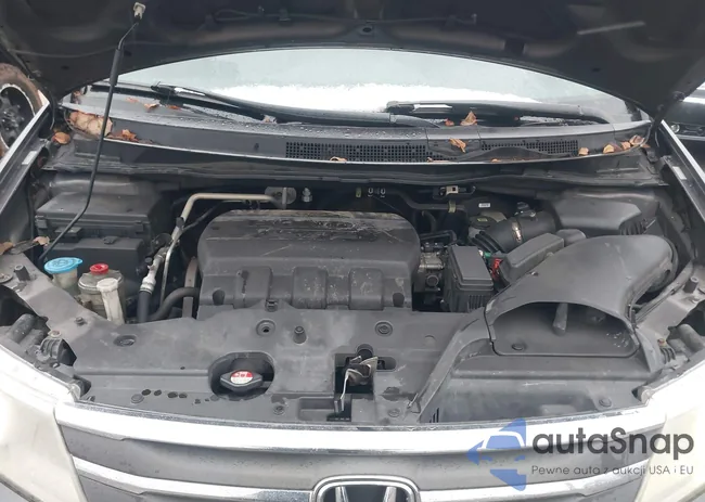 5FNRL5H92CB078025: 43886239