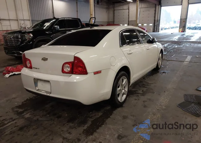 1G1ZB5E10BF284397: 43886359