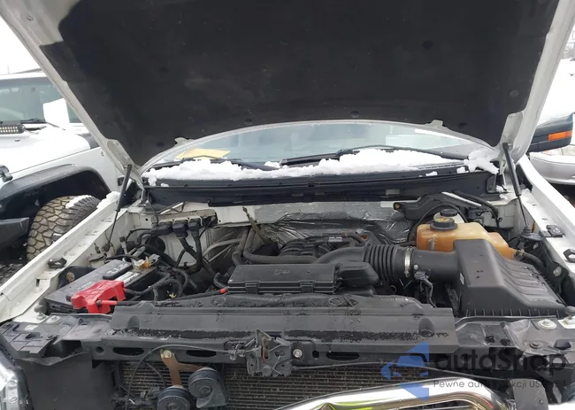 1FTFW1EF0DFB20749: 43885481