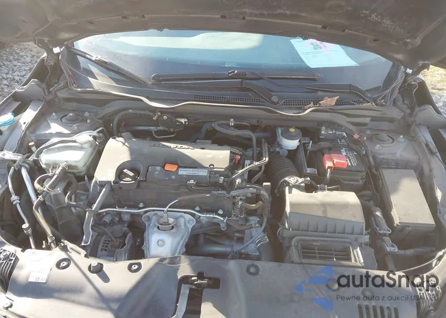 19XFC2F66KE014651: 43885728