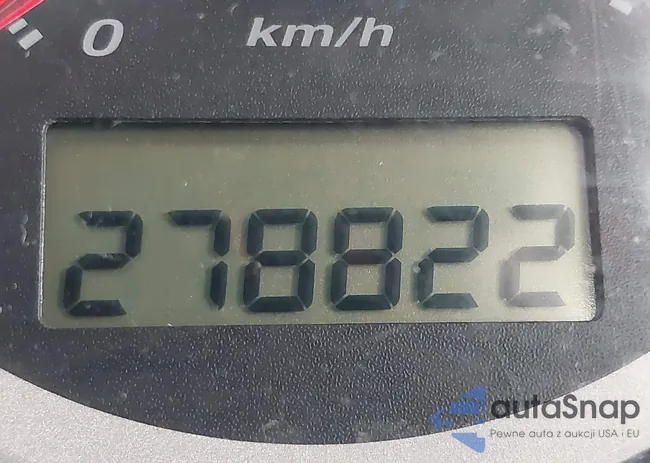 SHSRD78843U127234: 43887336