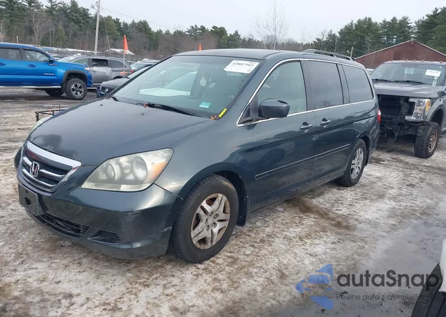 5FNRL38716B040325: 43887503