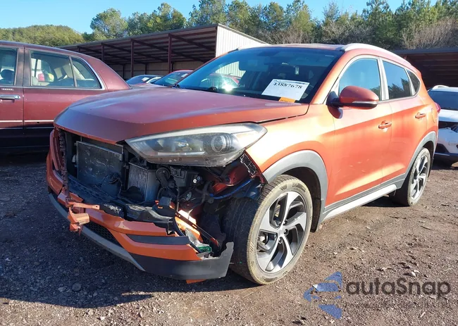 KM8J33A29HU362793: 43887678