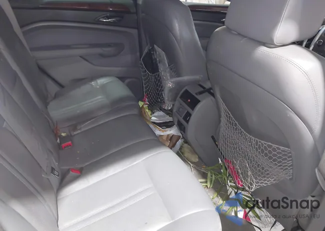 3GYFNBEY4AS504349: 43889263