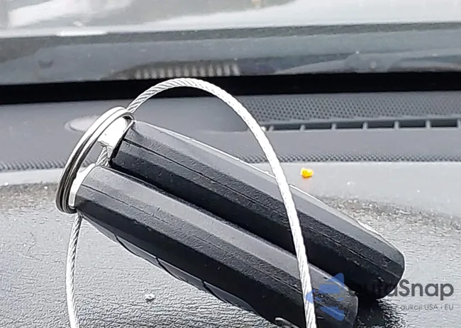 JN1BV7AP7FM332228: 43888482