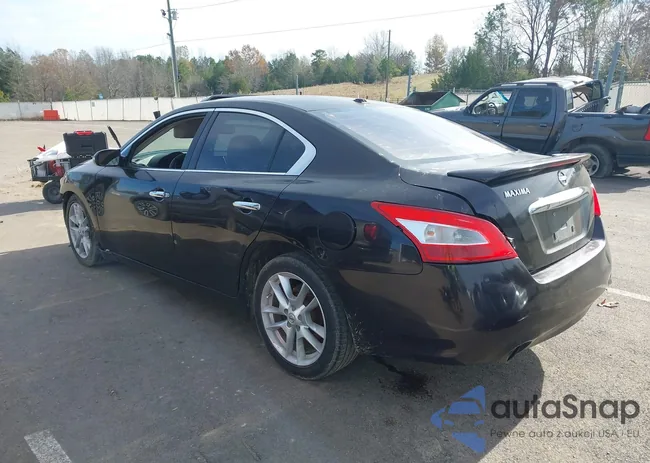 1N4AA5AP5BC825534: 43890263