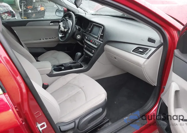 5NPE24AF6JH698631: 43889532