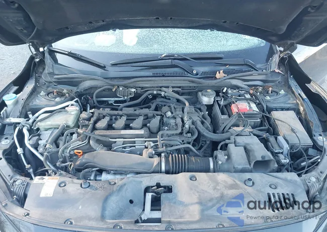 SHHFK7G21HU219971: 43889562