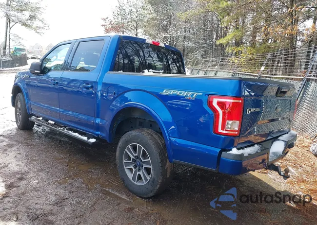 1FTEW1EF4HFB97495: 43889715