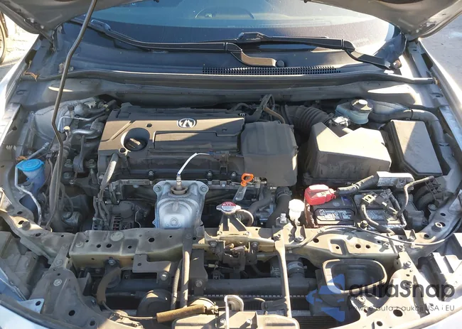 19UDE2F30KA007772: 43891954