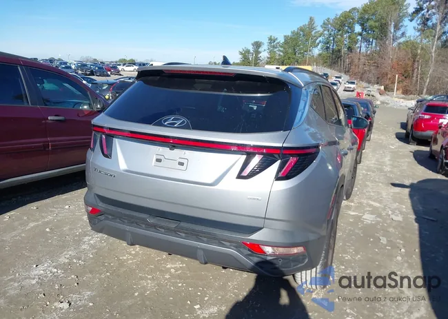 5NMJECAE2PH189620: 43892240