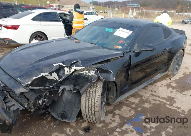 1FA6P8AM9G5292997: 43891686