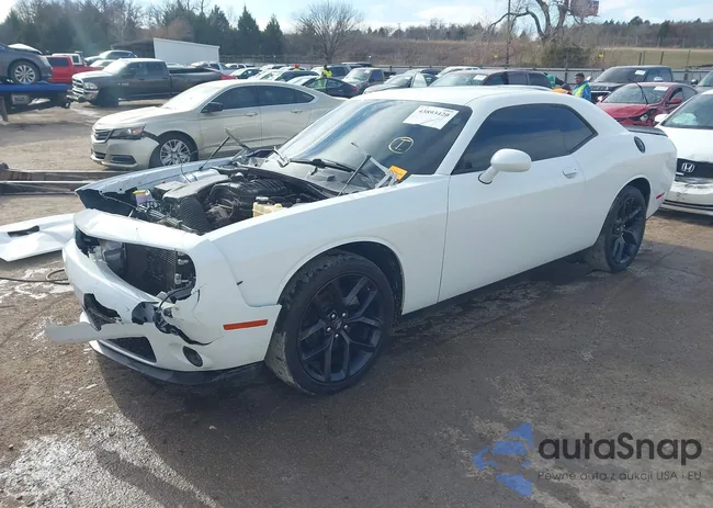 2C3CDZAG9LH113130: 43893420