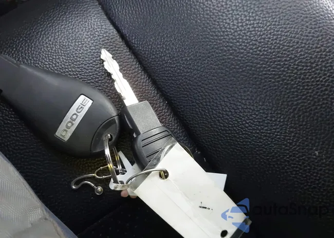 2C4RDGCG0HR766647: 43894858