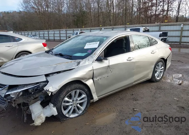 1G1ZE5ST5GF224393: 43895030