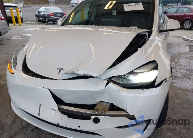 7SAYGDEE0NF311935: 43895273