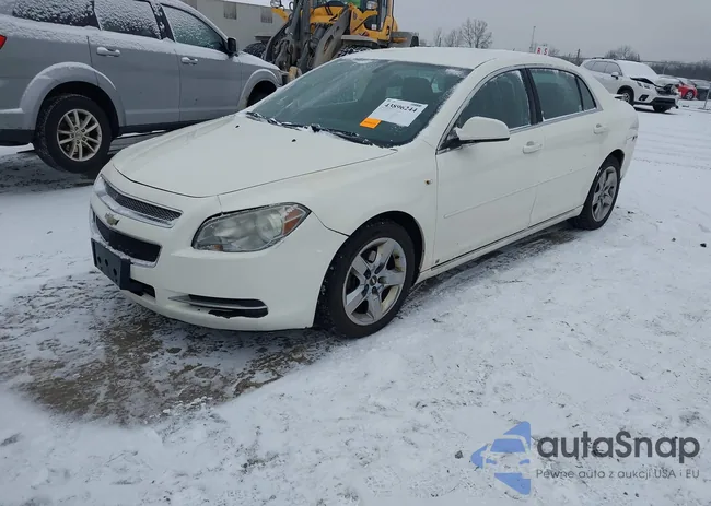 1G1ZH57B384267179: 43896244