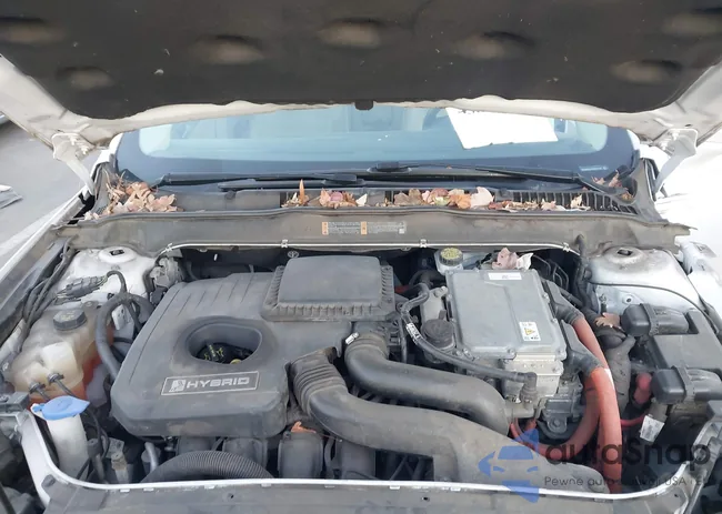 3FA6P0LU1DR271116: 43895644