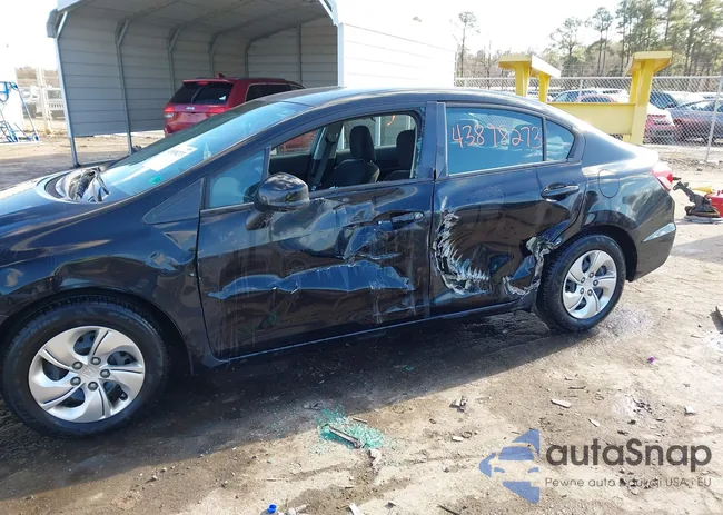 2HGFB2F51DH591946: 43898273