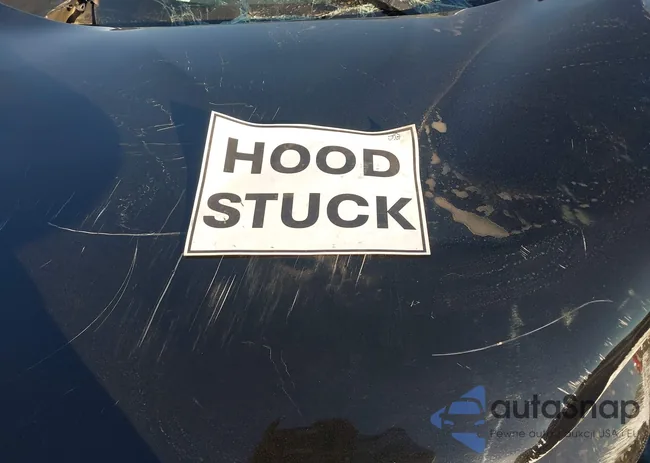 1N4AA6DV5LC368595: 43899125