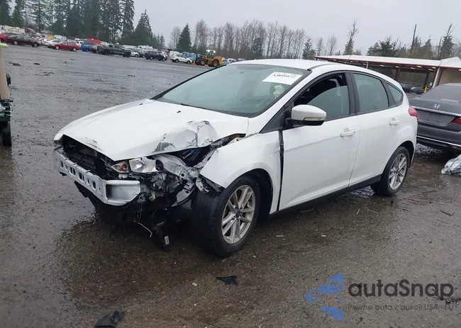 1FADP3K2XHL290891: 43899572