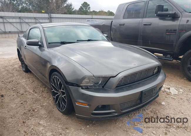 1ZVBP8AM2E5207582: 43900976