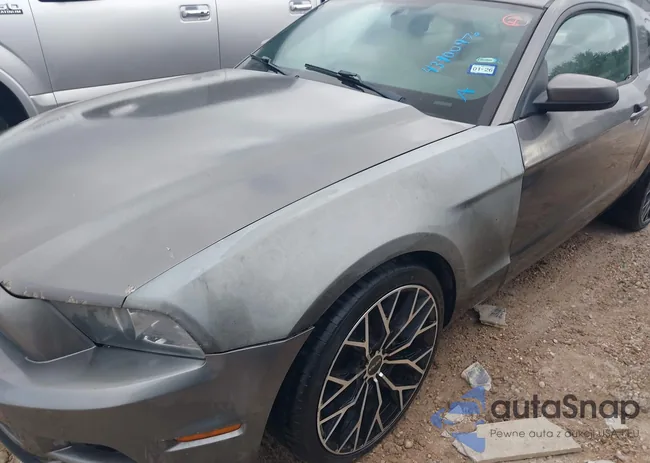 1ZVBP8AM2E5207582: 43900976