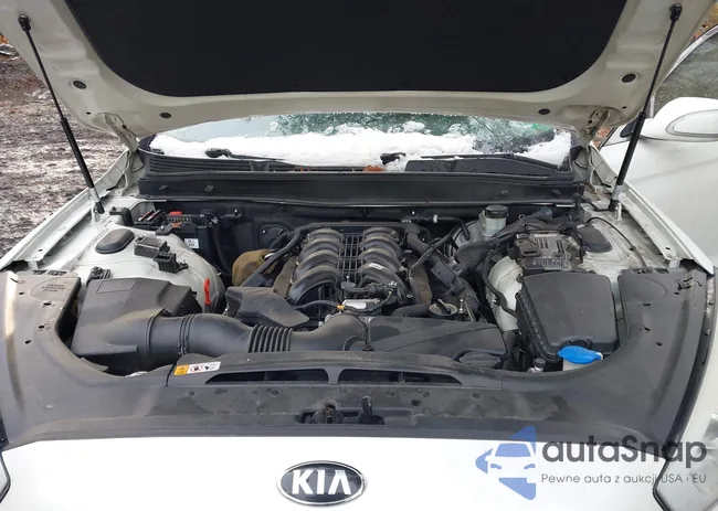 KNALU4D4XF6024735: 43901744