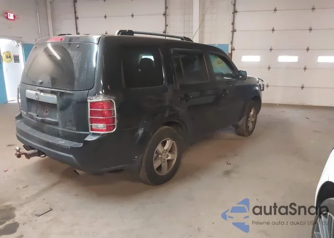 5FNYF4H63AB013667: 43903016