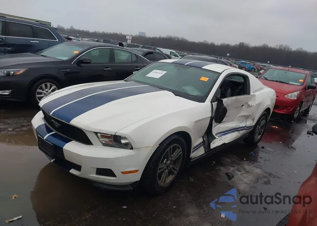 1ZVBP8AM4C5253489: 43903436